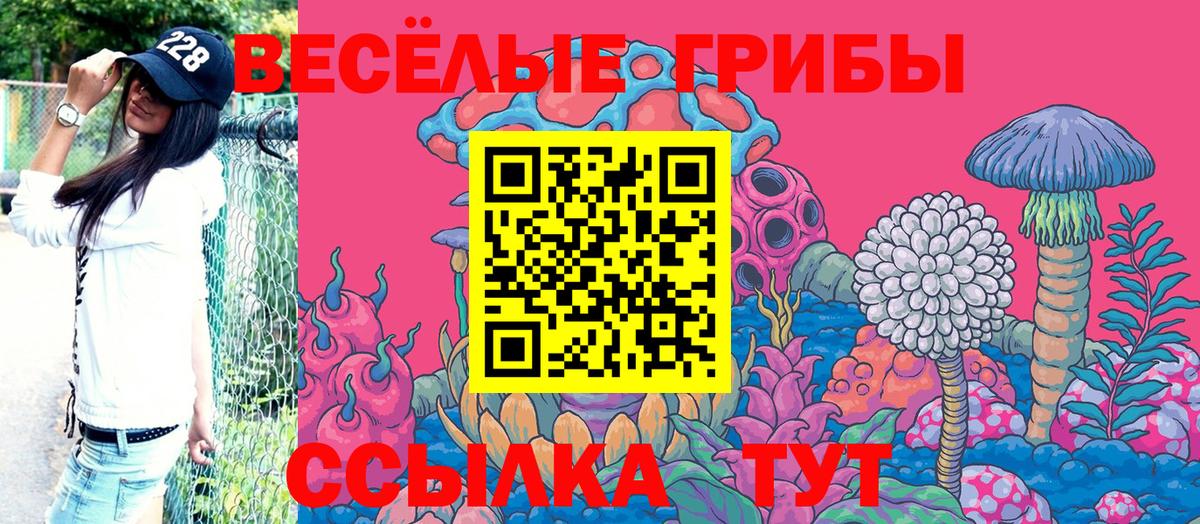 Псилоцибиновые грибы мицелий  Вход с VPN  Галлюциногенные грибы мицелий  сколько стоит  Черняховск 