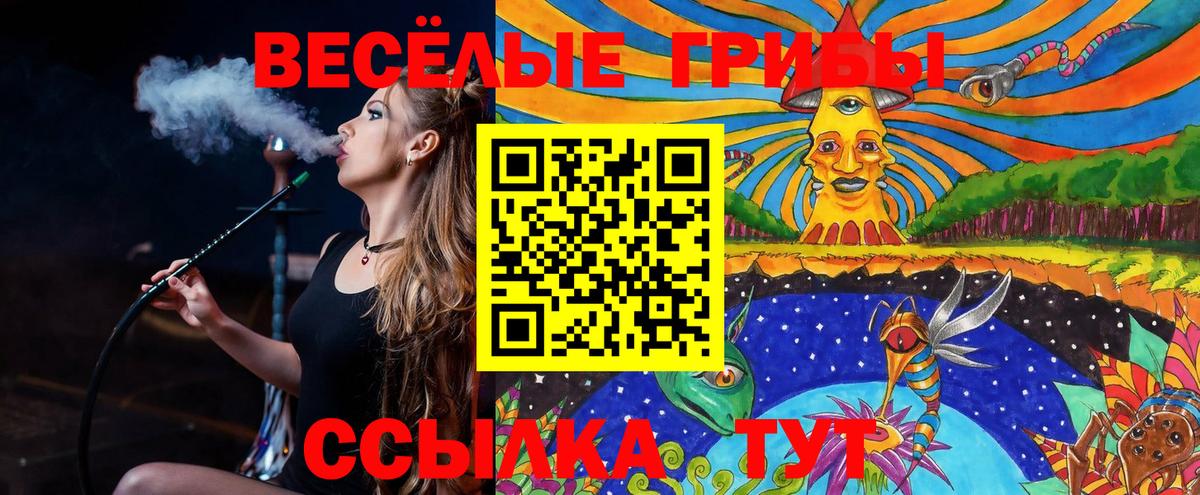 Псилоцибиновые грибы мухоморы Черняховск